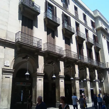 Apartamento Colom